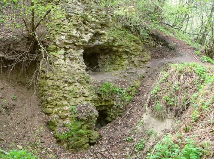 Cetatea Fetei, Florești, Romania, Romania